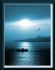 nur_efe