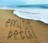 e_betul84